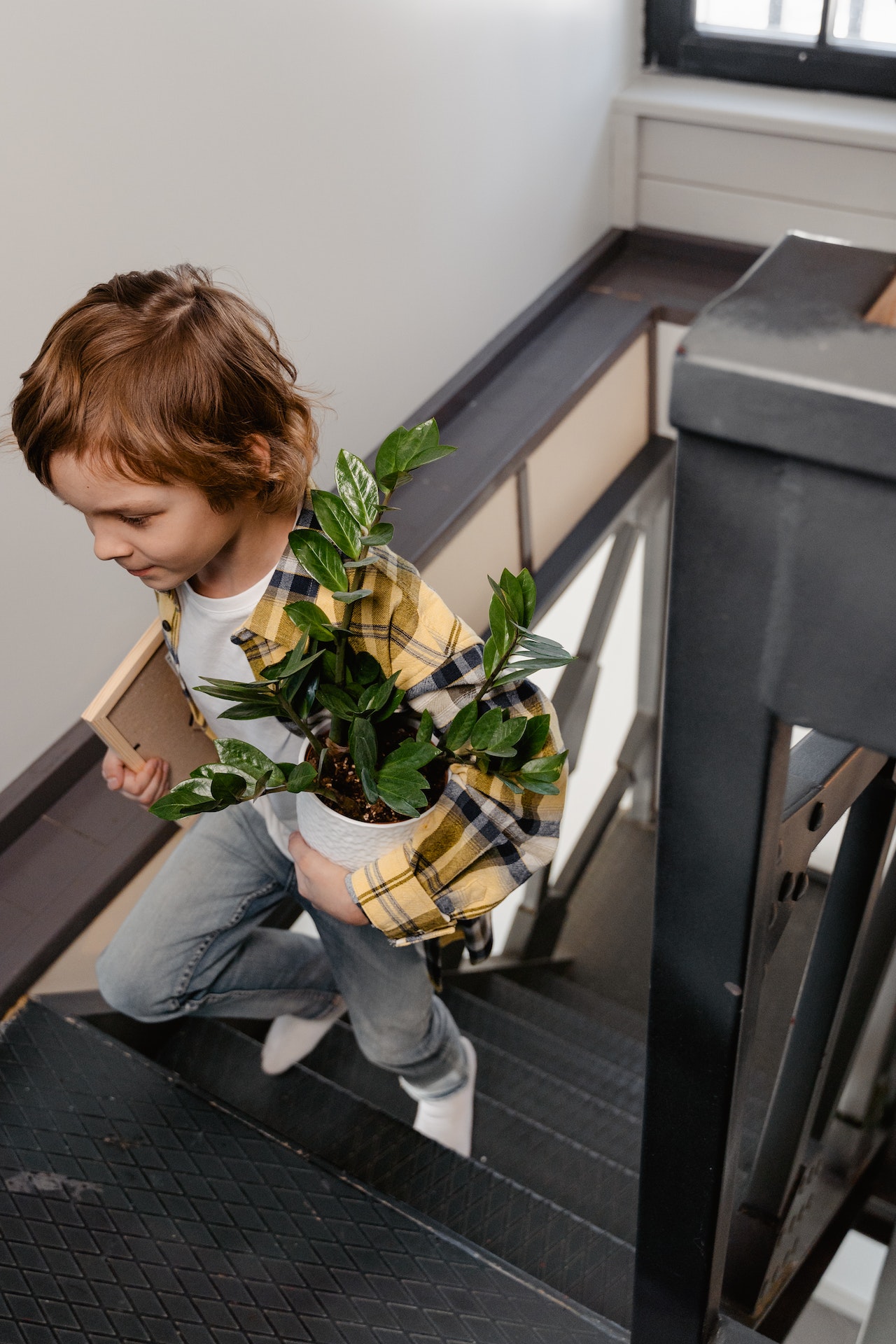 Kid helping to move into a new home